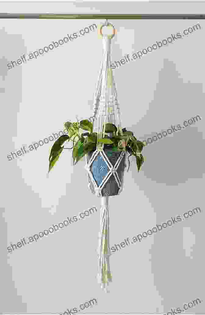 A Charming Hanging Plant Holder Made With Intricate Macrame Knots And Featuring A Trailing Fern MACRAME FOR BEGINNERS: Making Stunning And Beautiful Large Scale Wall Hanger Table Runner Plant Holder Hanger Bead Chandelier And Ombre Lampshade With Step By Step Tutorials + Photos