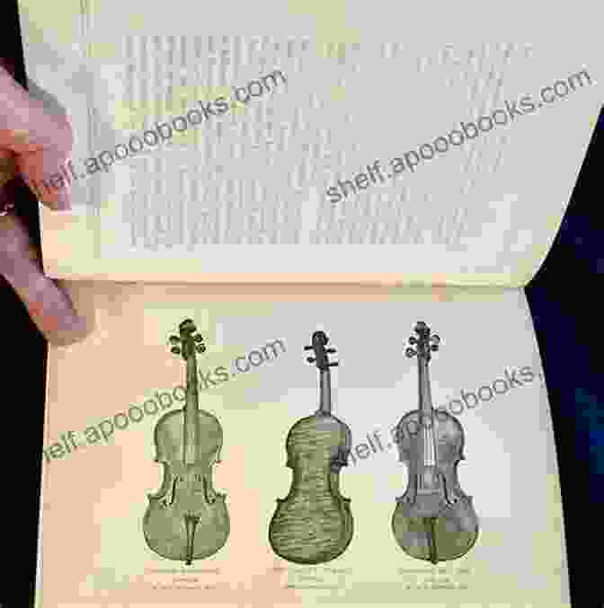 A Display Of The Violin (Annotated) (Illustrated) George Hart