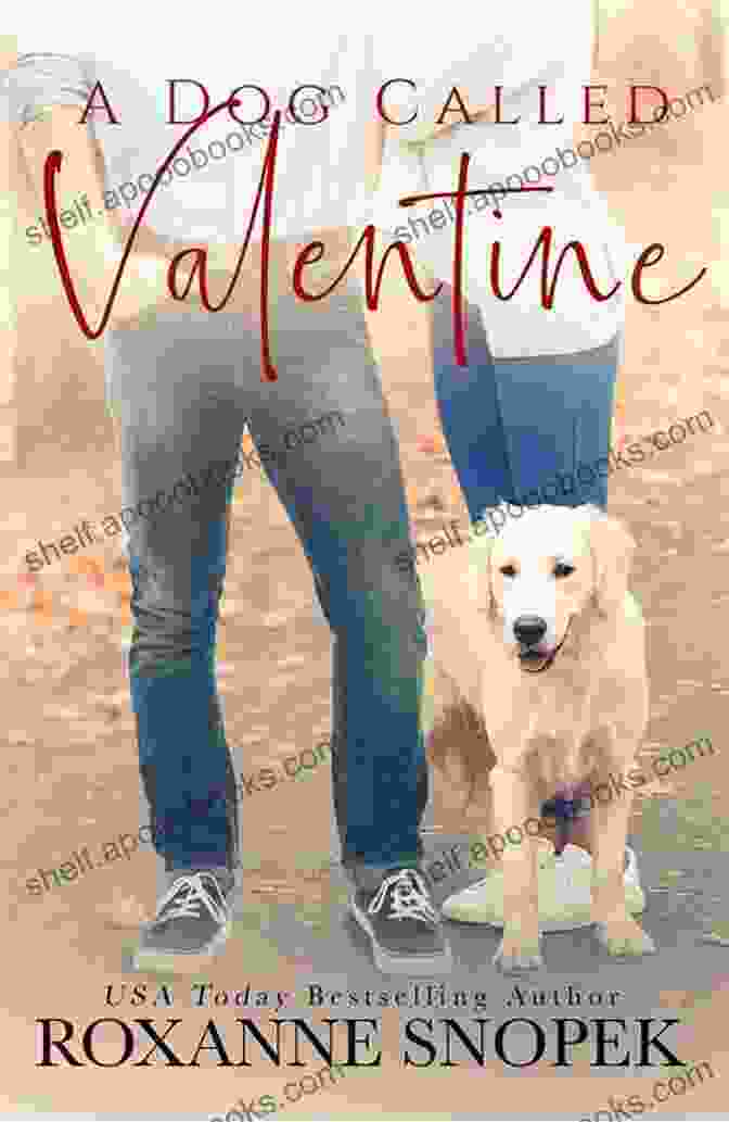 A Dog Called Valentine Book Cover A Dog Called Valentine Roxanne Snopek