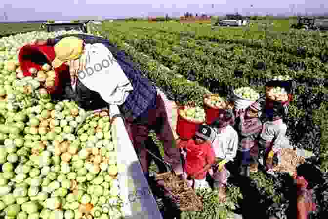 A Family Of Immigrants Working On A Farm In America My America: For This Land