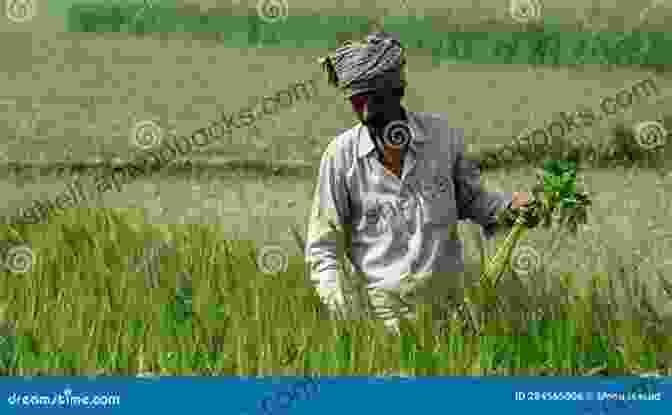 A Farmer Tending To A Field Of Wheat Growing Up Country: What Makes Country Life Country