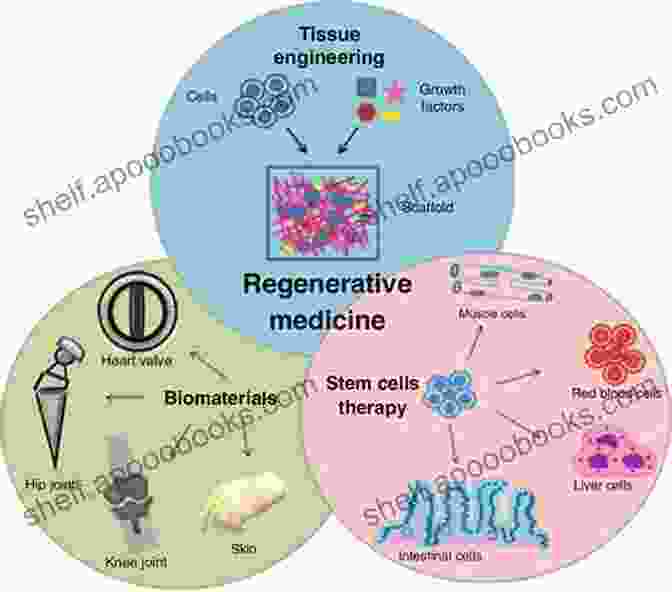 A Futuristic Depiction Of Regenerative Medicine Translational Regenerative Medicine Maxime J Durand