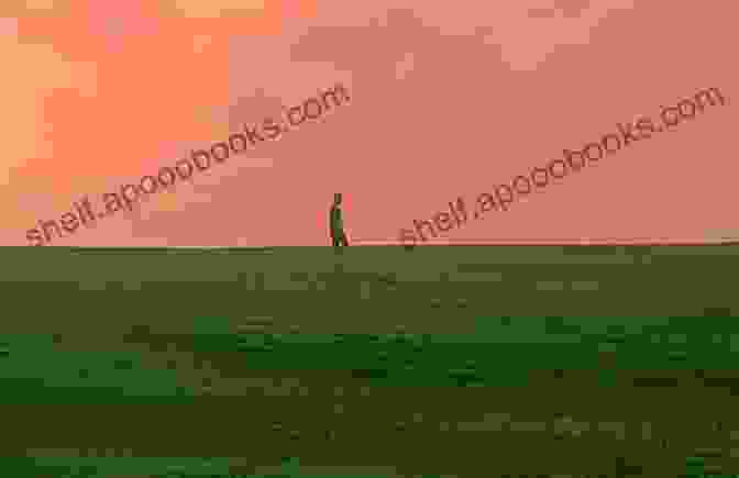 A Lone Figure Standing At A Desolate Landscape, Symbolizing The Weight Of Loss Grounded (The Groom 3)