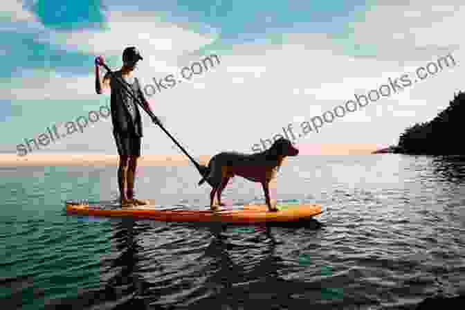 A Person And Their Dog Stand Up Paddleboarding On A Calm Lake. Paddle Tails: Reflections On People And Dogs Who Find Balance On The Water