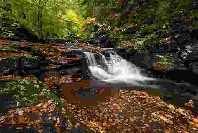 A Pristine Stream Flowing Through The Alleghany Mountains FIVE YEARS IN THE ALLEGHANIES: PUBLISHED BY THE AMERICAN TRACT SOCIETY