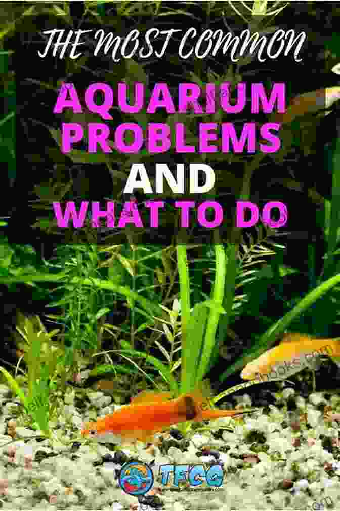 Aquarium Troubleshooting Guide Freshwater Fish: Step By Step Guide To Creating Keeping And Caring A Freshwater Fish