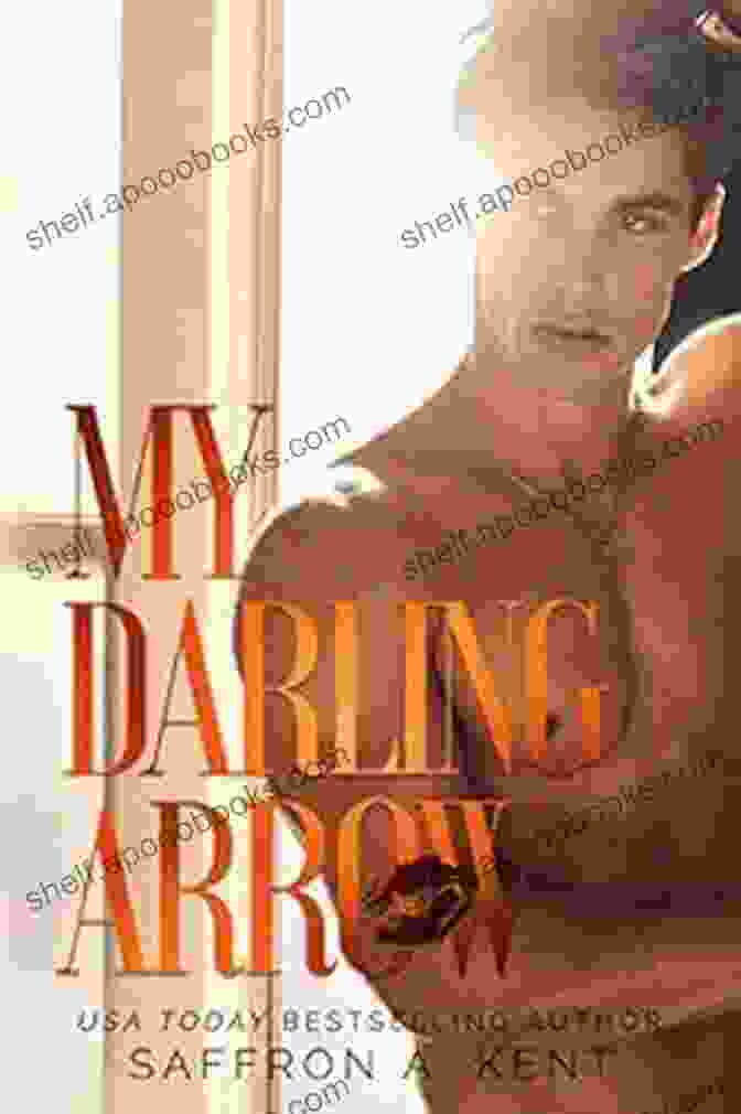 Arrow, The Mysterious Stranger Who Enters St Mary Rebels' Life My Darling Arrow (St Mary S Rebels 1)