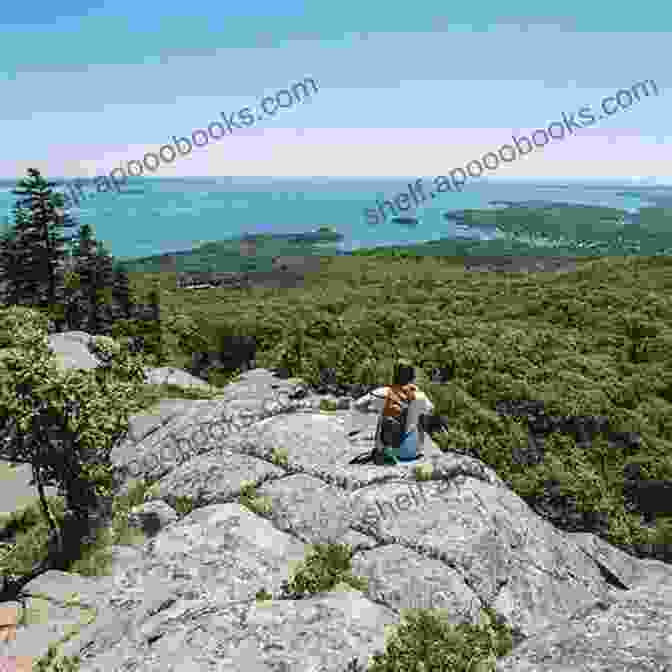 Camden Hills State Park, A Sanctuary For Hikers And Nature Enthusiasts. Belfast: Mid Coast Maine S HiddenGem Stephen Allen