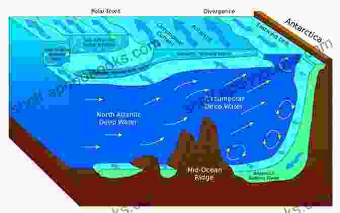 Captivating Diagrams And Data Visualizations Illustrating Ocean Currents, Sea Floor Topography, And Marine Chemistry. Science Of The Sea: A Hawai I Based Perspective Of Oceanography