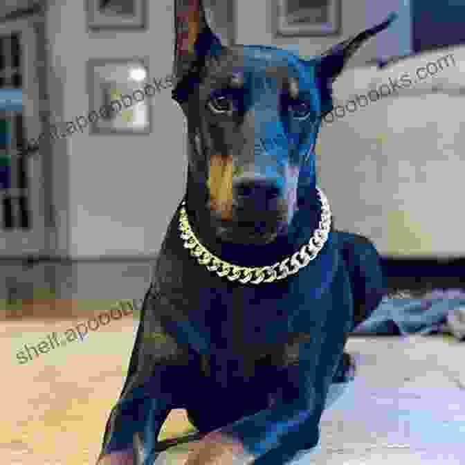 Don Nardo, A Handsome And Intelligent Looking Dog, Wearing A Gold Chain And Sunglasses, Sitting On A Throne A Doggy Boss 5 Don Nardo