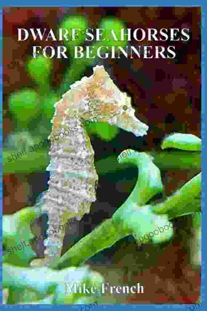 Dwarf Seahorses For Beginners Book Cover Dwarf Seahorses For Beginners Mike French