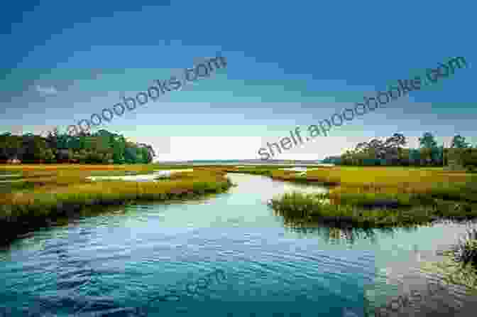 Emily, A Passionate Birdwatcher, Explores The Secluded Beauty Of The Lowcountry's Salt Marshes, Unaware Of The Dangers Lurking Beneath The Surface. Isle Of Palms (Lowcountry Tales 3)