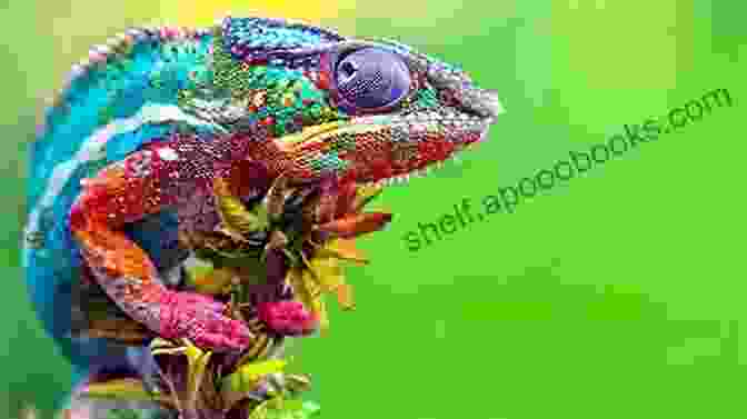 Image Of A Chameleon Changing Color To Adapt To Its Surroundings Russia In The Early Modern World: The Continuity Of Change