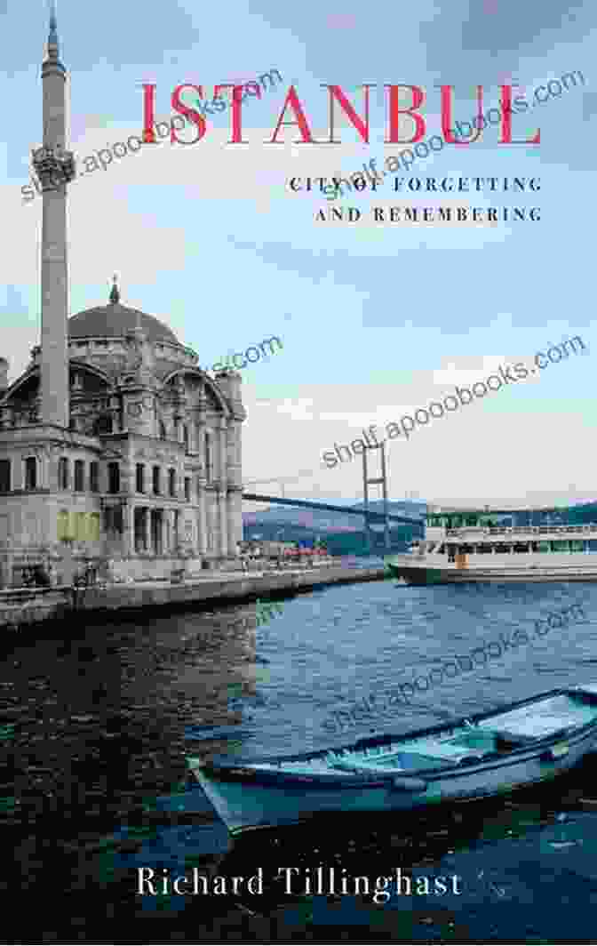 Istanbul Art Istanbul: City Of Forgetting And Remembering (Armchair Traveller)