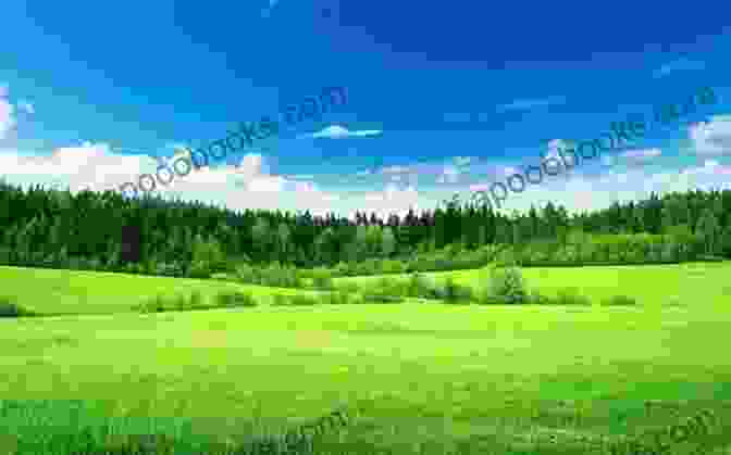 Lush Green Meadows In The Clark Fork Valley Clark S Fork Valley (Images Of America)