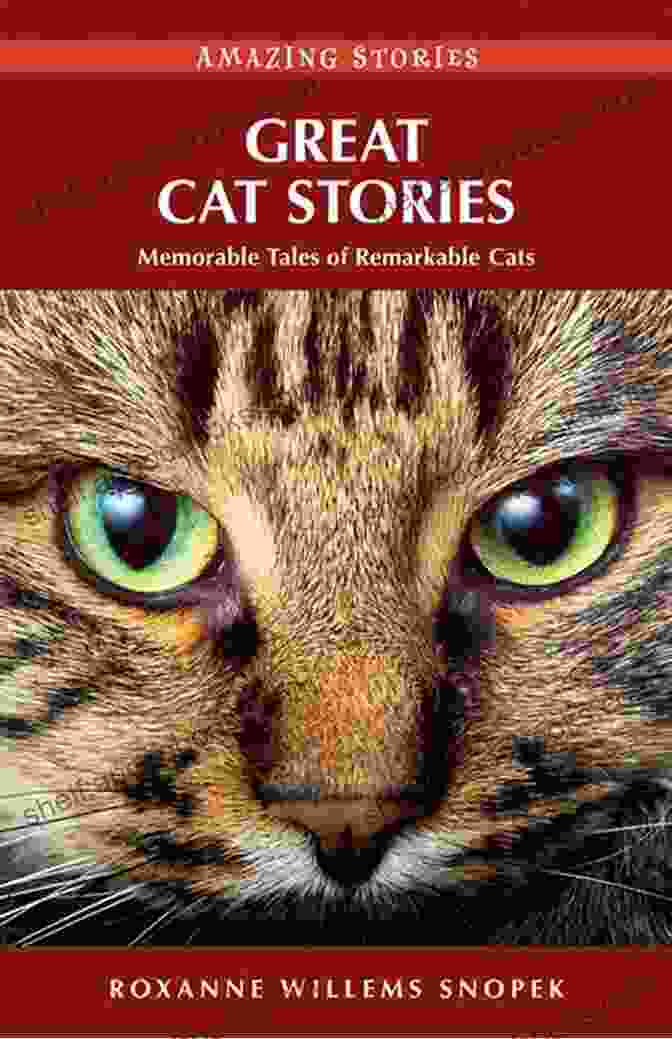 Memorable Tales Of Remarkable Cats Book Cover Great Cat Stories: Memorable Tales Of Remarkable Cats (Amazing Stories)