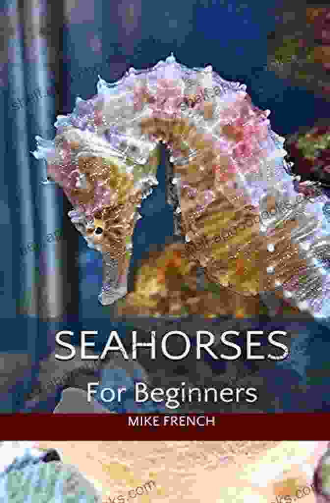 Seahorses For Beginners Book Cover Seahorses For Beginners Mike French