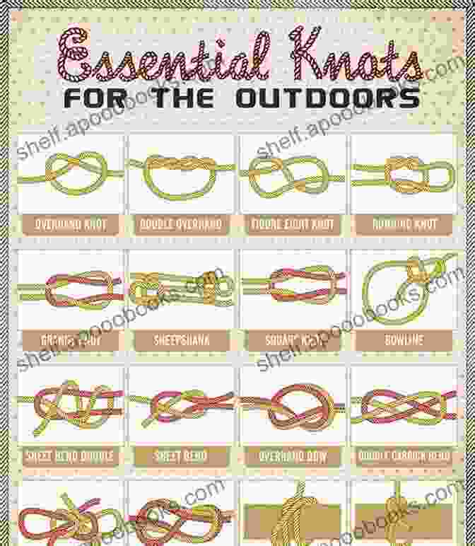 Taut Line Hitch How To Make Basic Rope Knots: Rope Knots Tutorial And Things You Need To Know