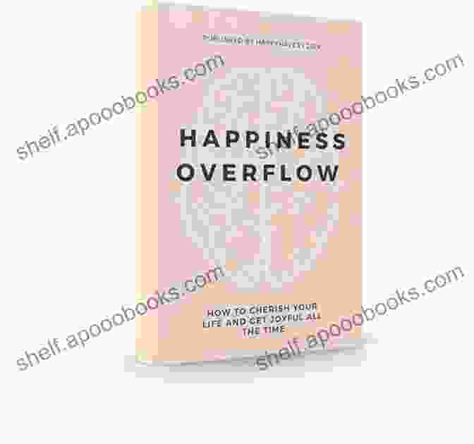 The Happiness Overflow Book Cover The Happiness Overflow Dr Dee Bell Williams