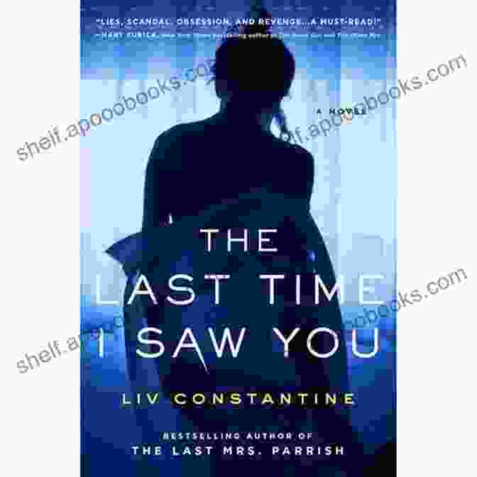 The Last Time I Saw You Book Cover The Last Time I Saw You: A Novel