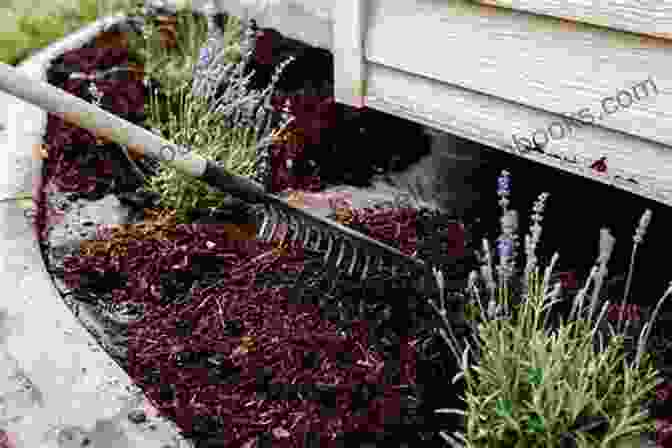 Using Weeds As Mulch To Suppress Other Weeds And Retain Moisture. The Response Of Weeds: A Misplacement Of Black Poetry On The Prairies (Crow Said Poetry)