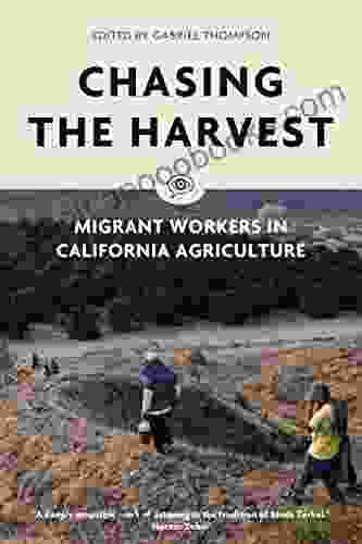 Chasing The Harvest: Migrant Workers In California Agriculture (Voice Of Witness)