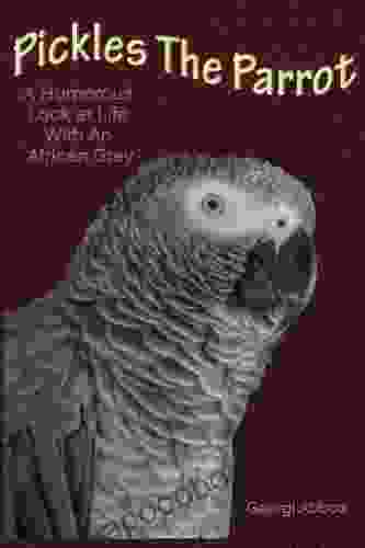 Pickles The Parrot A Humorous Look at Life With An African Grey