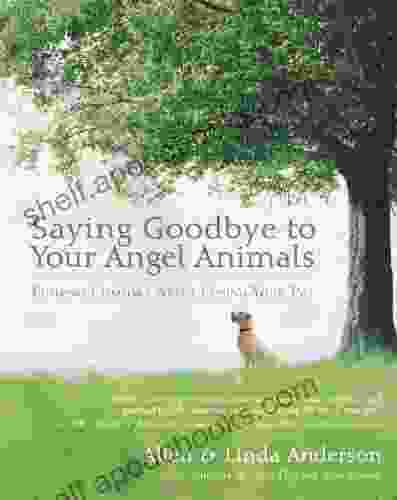 Saying Goodbye To Your Angel Animals: Finding Comfort After Losing Your Pet