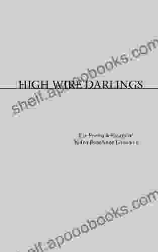 High Wire Darlings Sundari Venkatraman