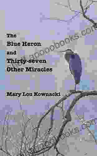 The Blue Heron And Thirty Seven Other Miracles