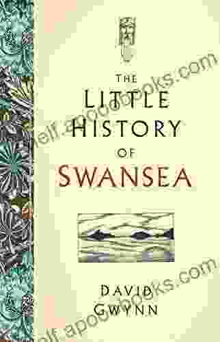 The Little History Of Swansea