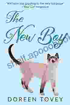 The New Boy (Feline Frolics 5)