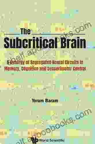 Subcritical Brain The: A Synergy Of Segregated Neural Circuits In Memory Cognition And Sensorimotor Control