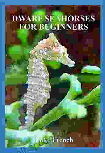 Dwarf Seahorses For Beginners Mike French