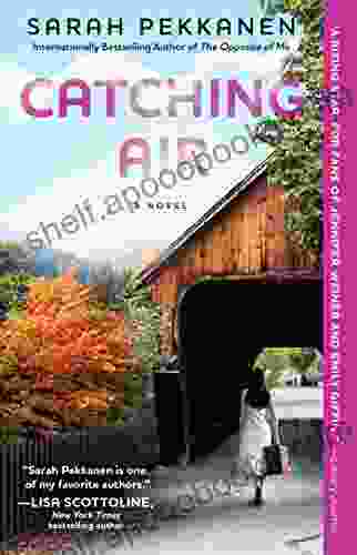 Catching Air: A Novel Sarah Pekkanen