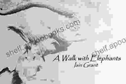 A Walk With Elephants Iain Grant